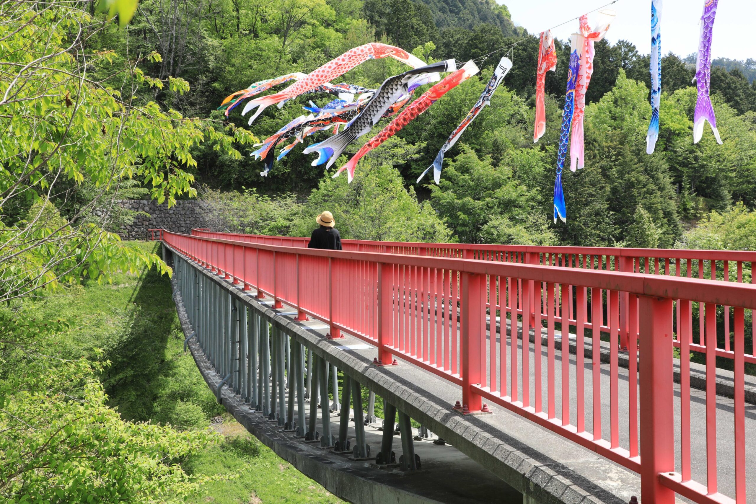 Koinobori at Tenkubashi Bridge