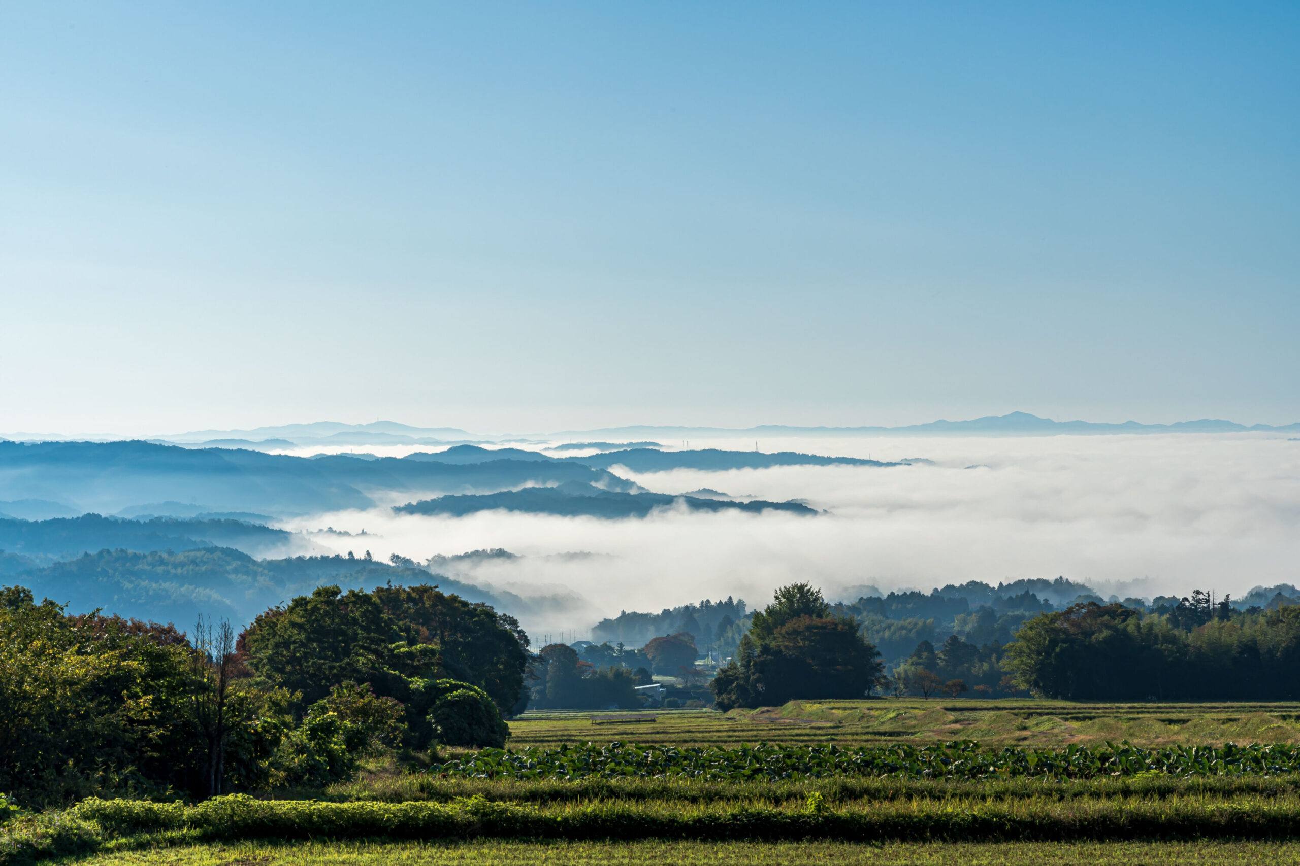 Cloud Sea from Nagi Sanroku Yama-no-Eki