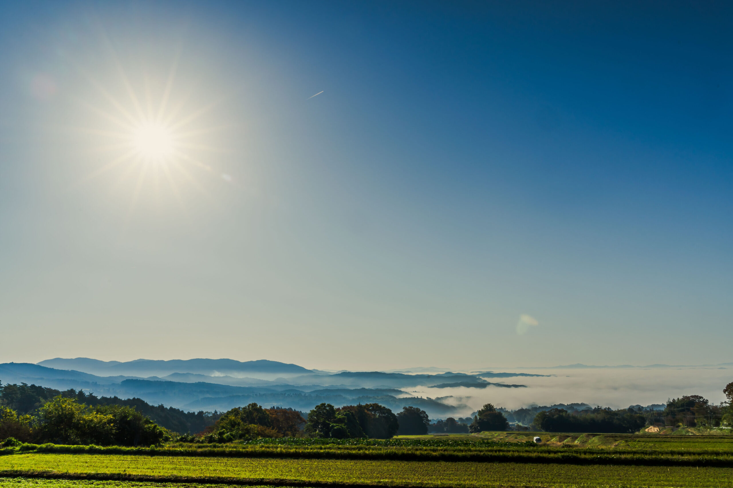 Nagi Sanroku Yama-no-Eki: Cloud Sea from Lawn Area