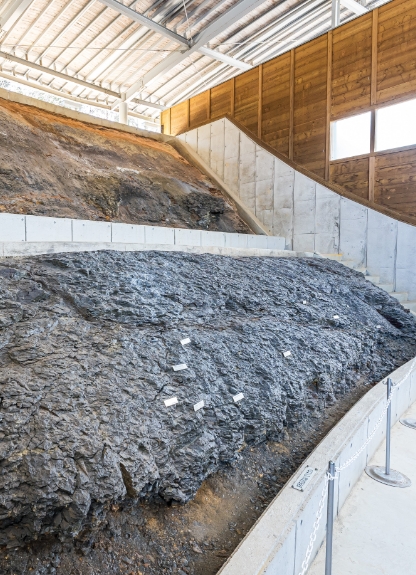 化石壁保存展示區