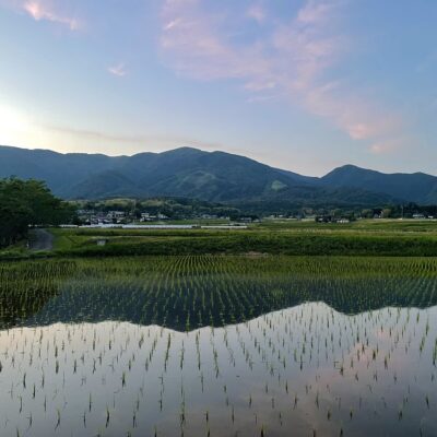 An Evening Rice-Planting,nagi,okayama