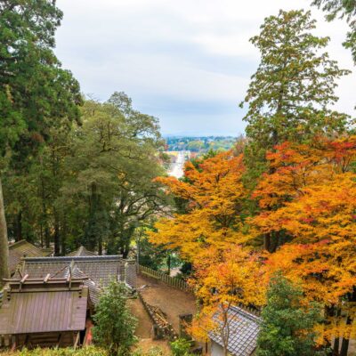 View of Miho Shrine in Autumn