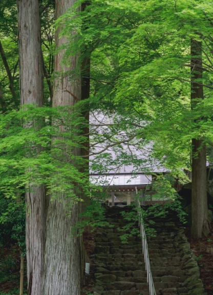 Approach to Bodaiji Temple