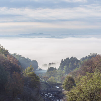 Cloud Sea from Wildflower Park