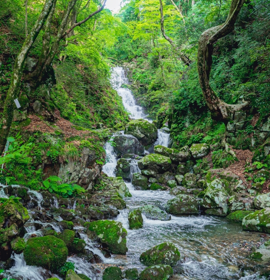 蛇淵の滝