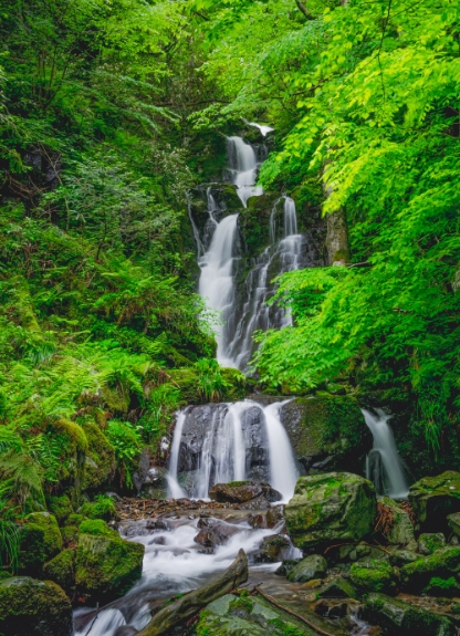 屋敷の滝