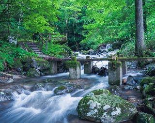 Jabuchi Falls walkway